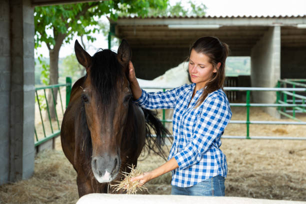 istock Woman feeding horse 1170239975