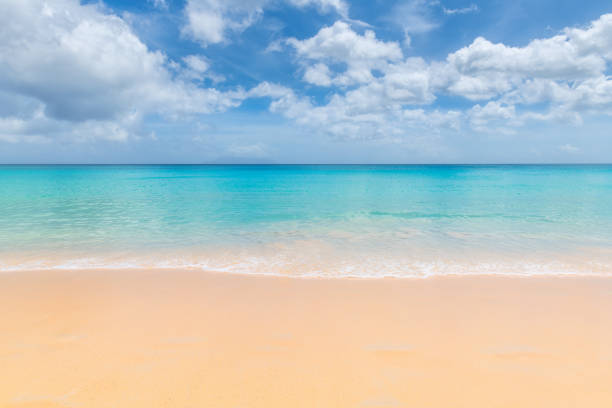 istock Sandy beach in Caribbean sea. Beach background. 1170241604