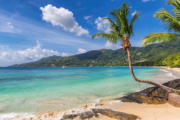 istock Beautiful Beau Vallon beach on Seychelles. 1170241630