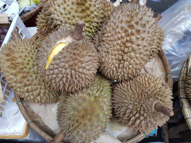 istock Durian fruit at Co market 1170242313