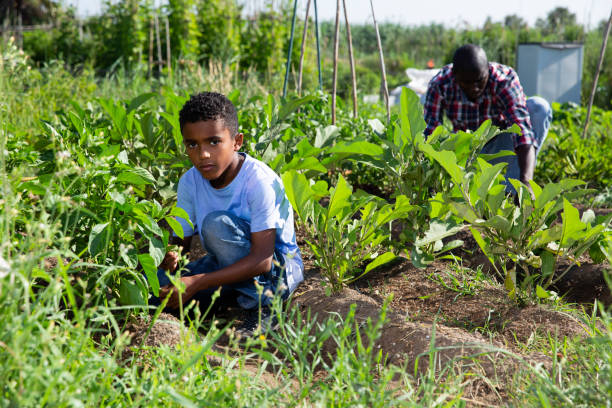 istock Friendly family works on garden beds 1170242769