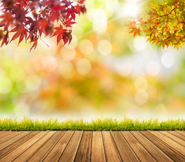 istock Autumn season background copy space design 1170247958