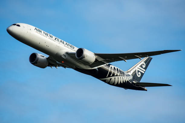 air new zealand - airplane airbus boeing air vehicle imagens e fotografias de stock