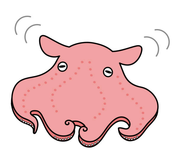 メンダコ ベクター イラスト - タコのベクターアート素材や画像を多数