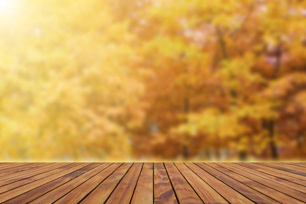 istock Wooden empty table plank on autumn 1170250456