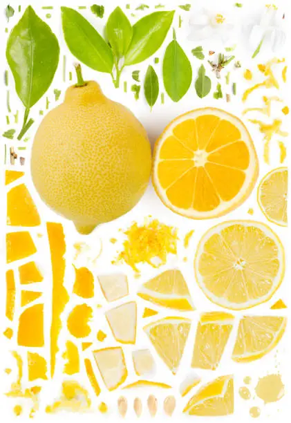 Large collection of lemon fruit pieces, slices and leaves isolated on white background. Top view. Seamless abstract pattern.