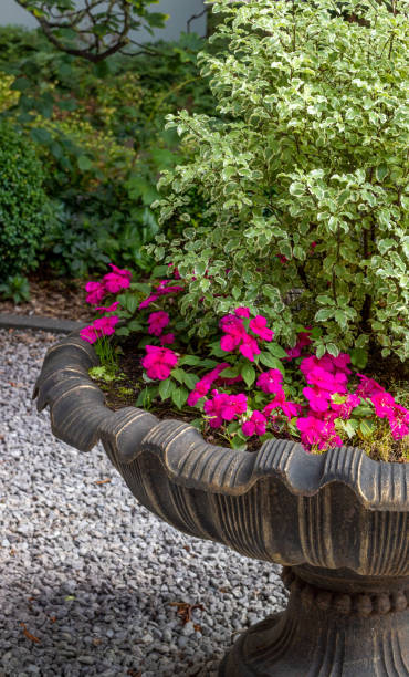 istock A garden urn planted up with impatiens 1170254413