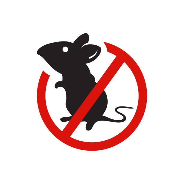 anti mouse parasite no rat no pest logo vector design illustration anti mouse parasite no rat no pest logo vector design illustration insecticide stock illustrations