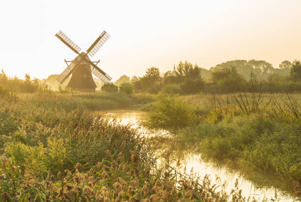 summer in holland - polder field meadow landscape imagens e fotografias de stock