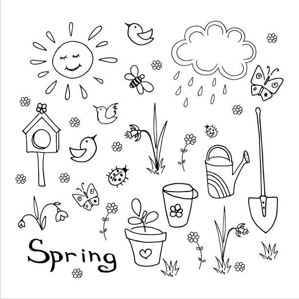 illustrations, cliparts, dessins animés et icônes de ensemble de griffonnage de printemps. collection d'éléments mignons dessinés à la main simples. illustration de vecteur noire et blanche d'isolement sur le blanc. - nature water ladybug spring