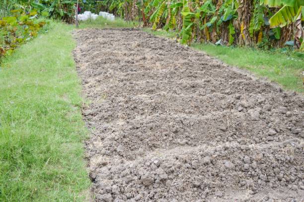 istock soil preparation for sowing vegetable in field agricultur 1170259818