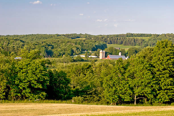 istock Farm on a Hillside, Summer Evening 117025989