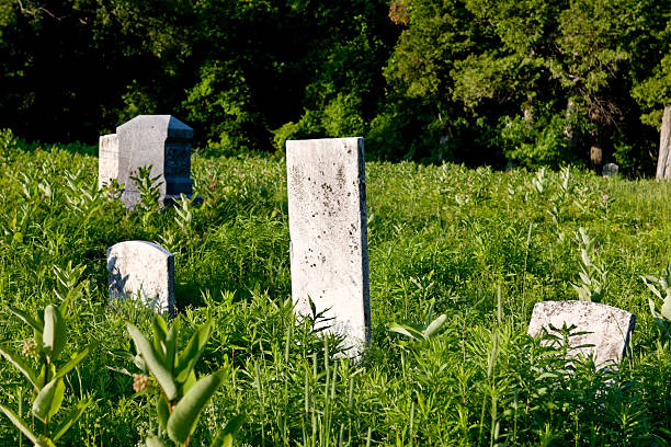 istock 19th Century American Cemetery, Summer Evening 117026132