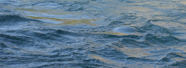istock The surface of the Niagara River 1170261334