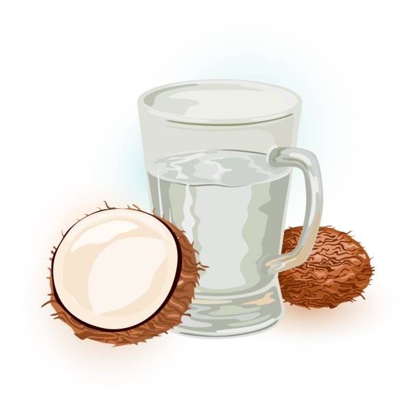 illustrazioni stock, clip art, cartoni animati e icone di tendenza di linfa di cocco, acqua, vino o tuba in vetro. semi o frutti di palma sono vicini al succo in tazza - glass tube