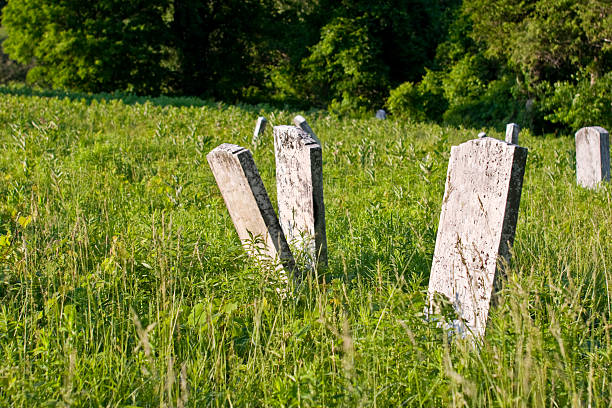 istock 19th Century American Cemetery, Summer Evening 117026151