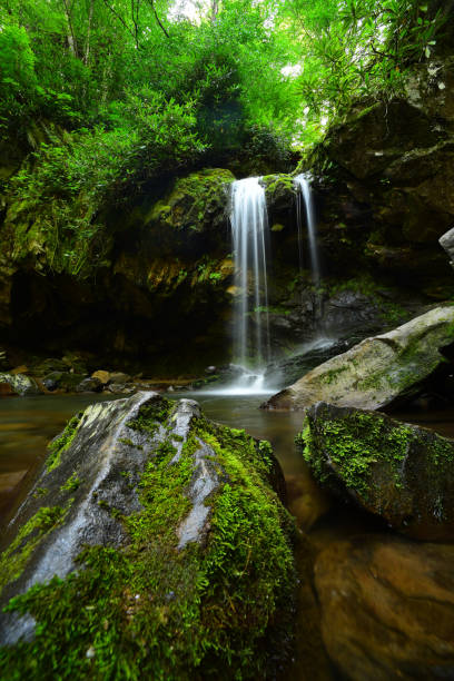 istock Grotto Falls flowing into pool with wet, moss-covered rocks in foreground 1170262654
