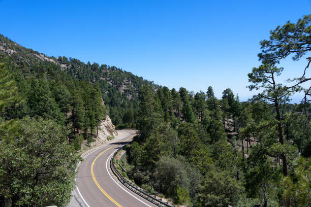 monte lemmon byway cénico perto de tucson, o arizona - mt lemmon - fotografias e filmes do acervo