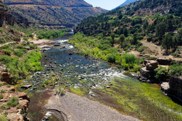 istock Salt River, Arizona from the Salt River Canyon 1170262965