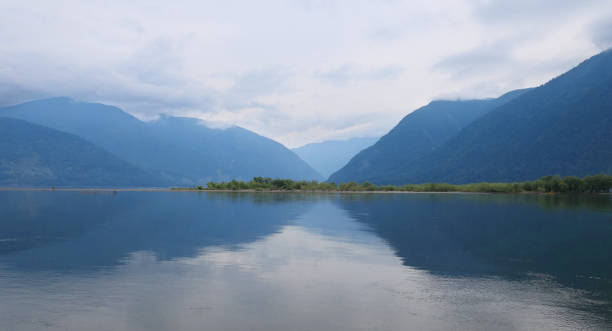 istock Teletskoe lake, Russia 1170264113