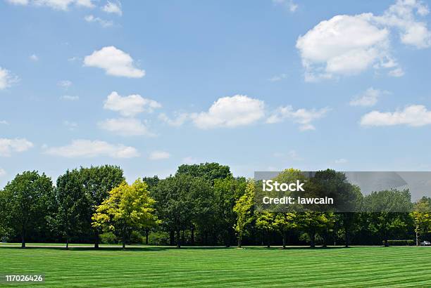 Tree Line With Sky Stock Photo - Download Image Now - Treelined, Sky, Blue