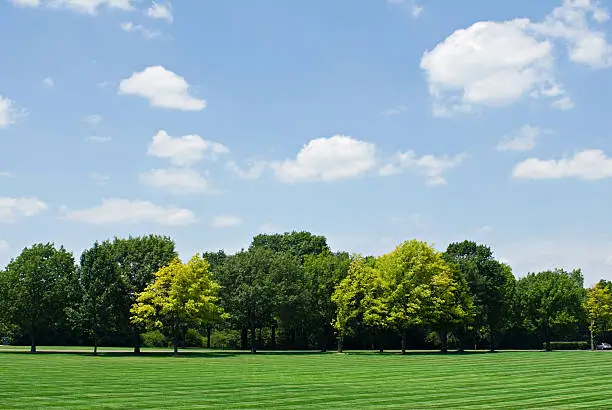Skyscape with tree line and lawn.
