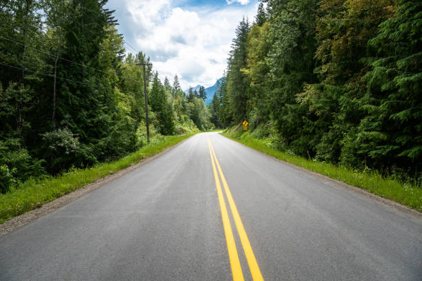 istock Road through a thick pine forest and cloudy sky in summer 1170264812