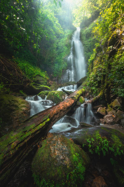 istock Close up view waterfall in deep forest at National Park, Waterfall river scene. 1170266623