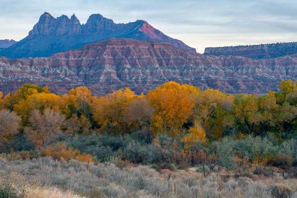 istock Zion National Park 1170268762
