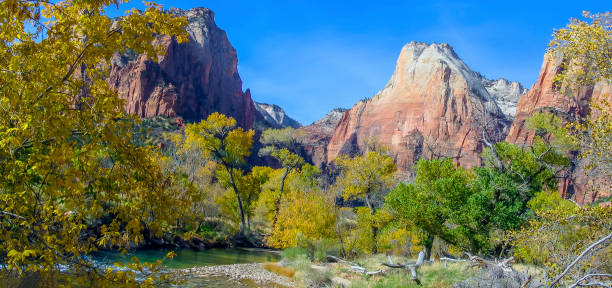 istock Zion National Park 1170268766