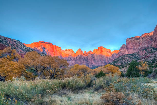 istock Zion National Park 1170268827