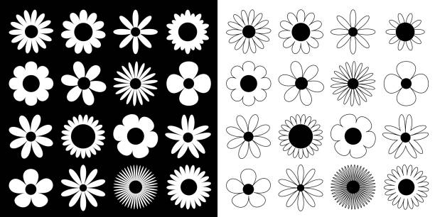 데이지 카모마일 실루엣 아이콘입니다. 카모마일 슈퍼 빅 세트. 귀여운 둥근 꽃 머리 식물 컬렉션입니다. 사랑 카드 기호입니다. 성장 개념. 플랫 디자인. 검은 흰색 배경입니다. 격리. - flower shape stock illustrations