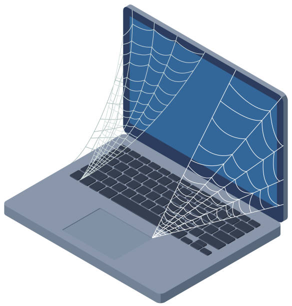 spinnwebe - spider web computer network internet communication stock-grafiken, -clipart, -cartoons und -symbole