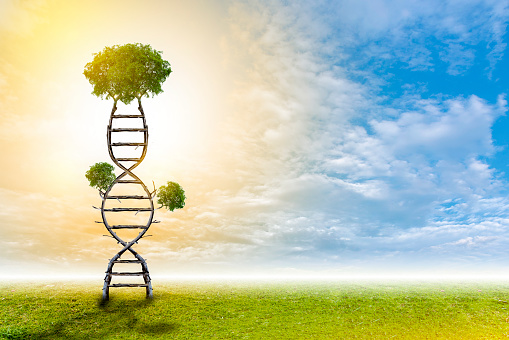 DNA is a natural tree background style.