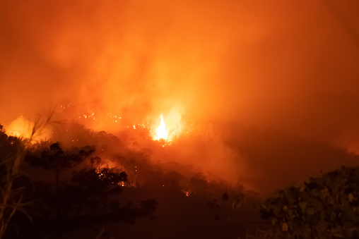 Amazon forest fire disaster problem.Fire burns trees in the mountain at night.