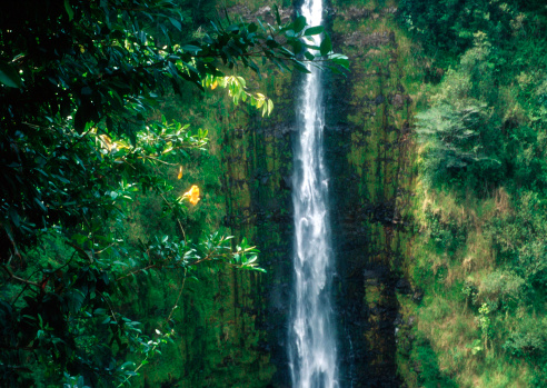 Dramatic waterfall on the Big Island of Hawaii.