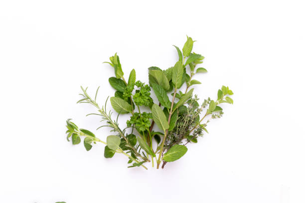 istock Herbal spice on a white background. Top view. 1170272408