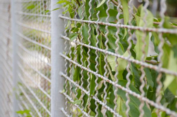 istock white steel net wall in nature garden 1170273692