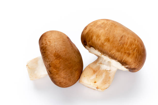 istock Fresh champignon mushrooms isolated on white. 1170275140