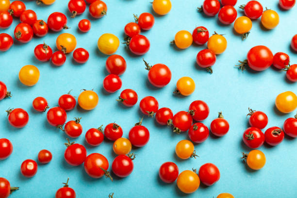 istock Red and yellow cherry tomatoes on blue background. Fresh bright organic vegetables 1170276952
