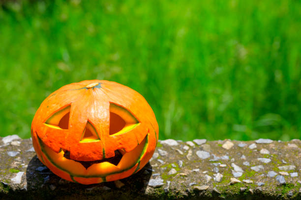 istock Halloween pumpkin on colours 1170279249