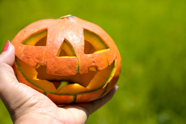 istock Halloween pumpkin in woman hand 1170279316