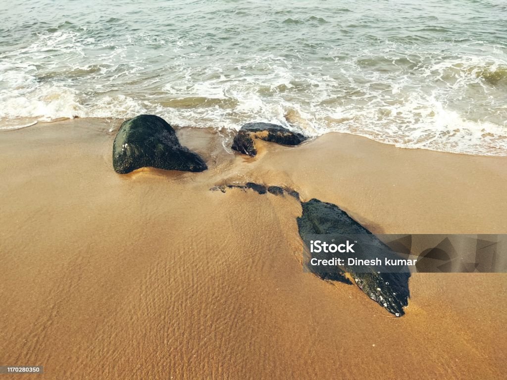 Beautiful Beach Sea Ocean Water Wave Rock Sandy Stone No People ...