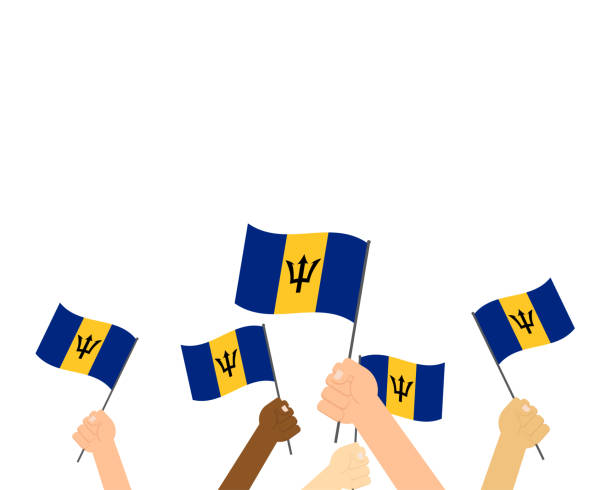 ilustraciones, imágenes clip art, dibujos animados e iconos de stock de mano de ilustración vectorial sosteniendo banderas de barbados sobre fondo blanco - trident barbados flag pride