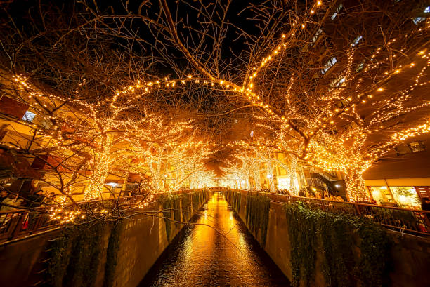 istock Meguro River Christmas illumination 1170281743