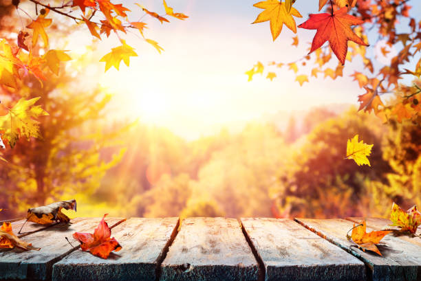 istock Autumn Table With Red And Yellow Leaves And Forest Background 1170284054