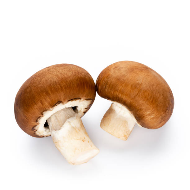 istock Fresh champignon mushrooms isolated on white. 1170284377