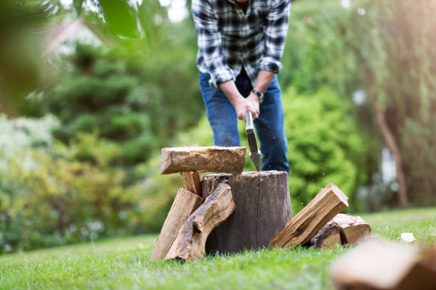 istock Senior man cutting logs, working in the garden 1170285956