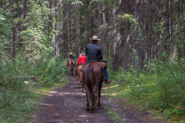 всадники тропы в лесу - trail ride стоковые фото и изображения