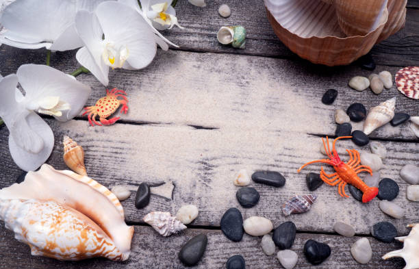 istock Seascape seashells sand, holiday postcard. 1170294560